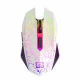 Bervolo® Spider Wireless Gaming Mouse, Dual Mode Bluetooth 5.2 & 2.4GHz, RGB, 6 Silent Buttons, 1600 DPI, Type-C Rechargeable, Compatible with Windows, MacOS, Linux, Ergonomic, White