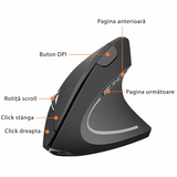Dual Mouse Bervolo VX Pro, Black