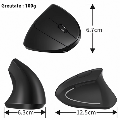 Dual Mouse Bervolo VX Pro, Black